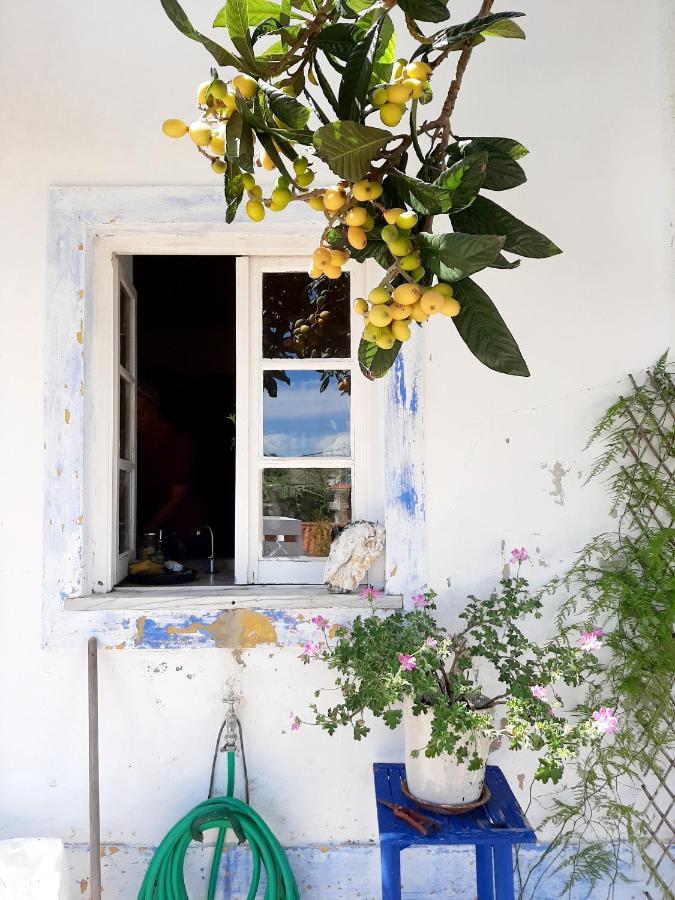 Appartement Salmoura à Vila do Bispo Extérieur photo